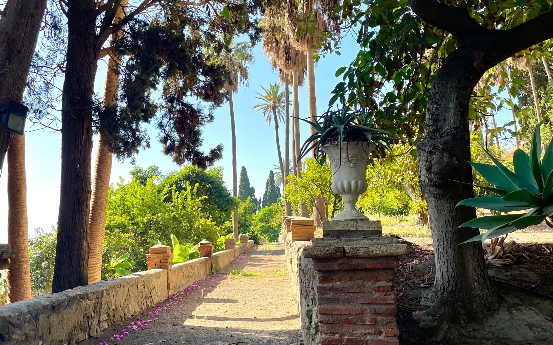Jardín 3